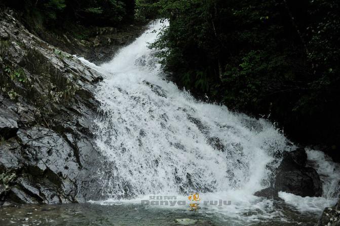 拯救巧虎4