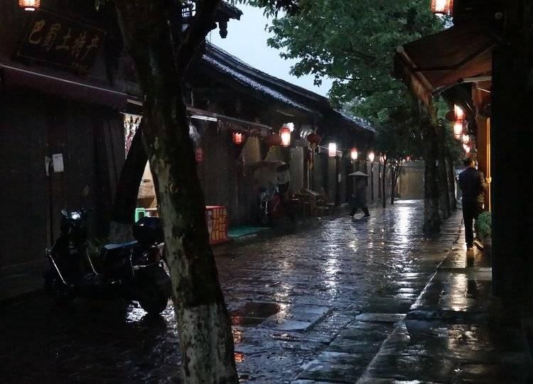 阴暗森林